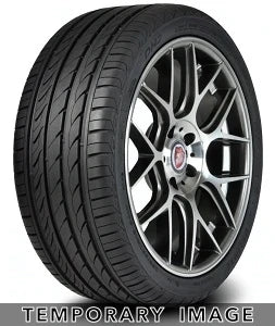 Delinte DH2 Tires 205/65R15 (8.41623E+11)