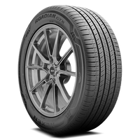 Nexen Roadian GTX Tires 245/65R17 (17061NXK)