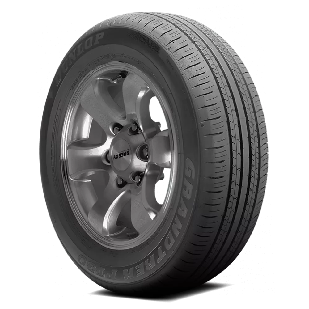 Dunlop Grandtrek PT30 Tires 225/65R17 (290105800)