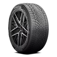 Momo North Pole W20 Europa Tires 225/45R19 XL (88627)