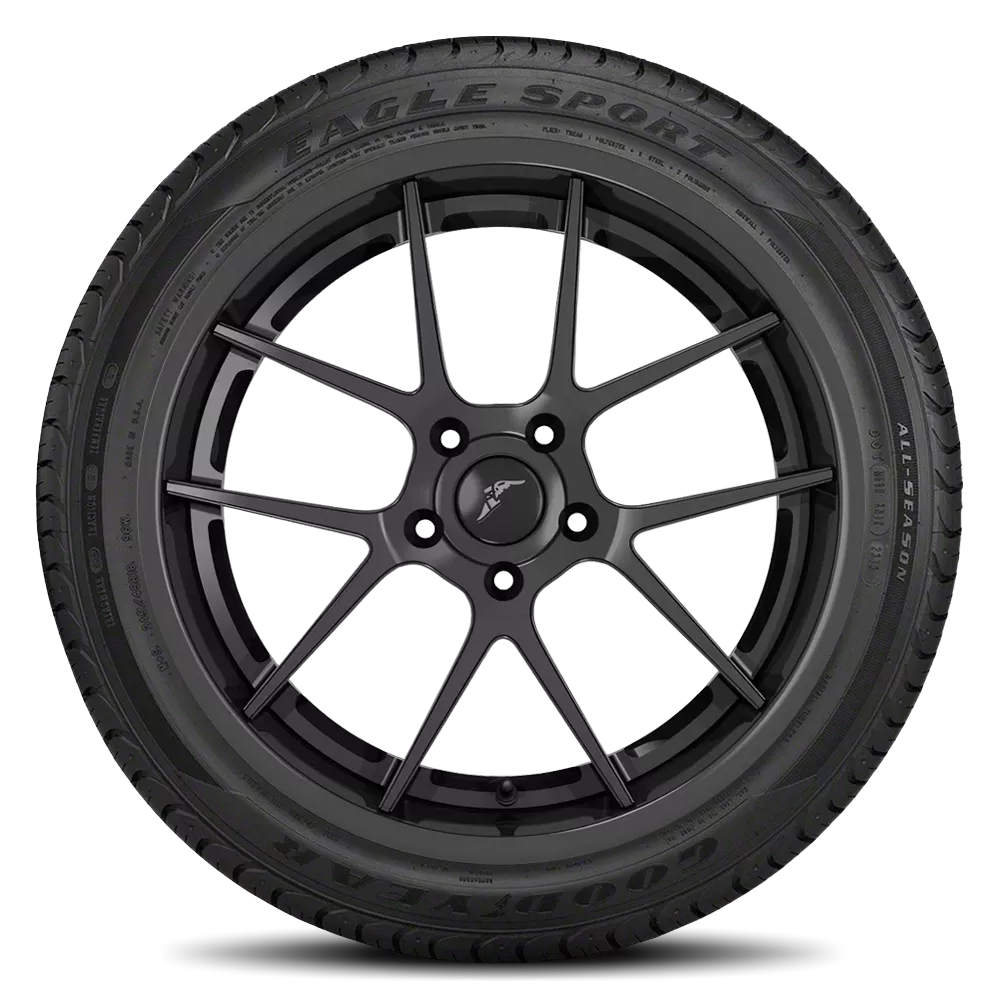 Goodyear 205/55R16 Eagle Sport SLP Tires