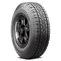 Continental 225/60R17 FR Terraincontact A/T Tires