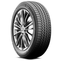 Bridgestone 225/50R17 Weatherpeak Tires
