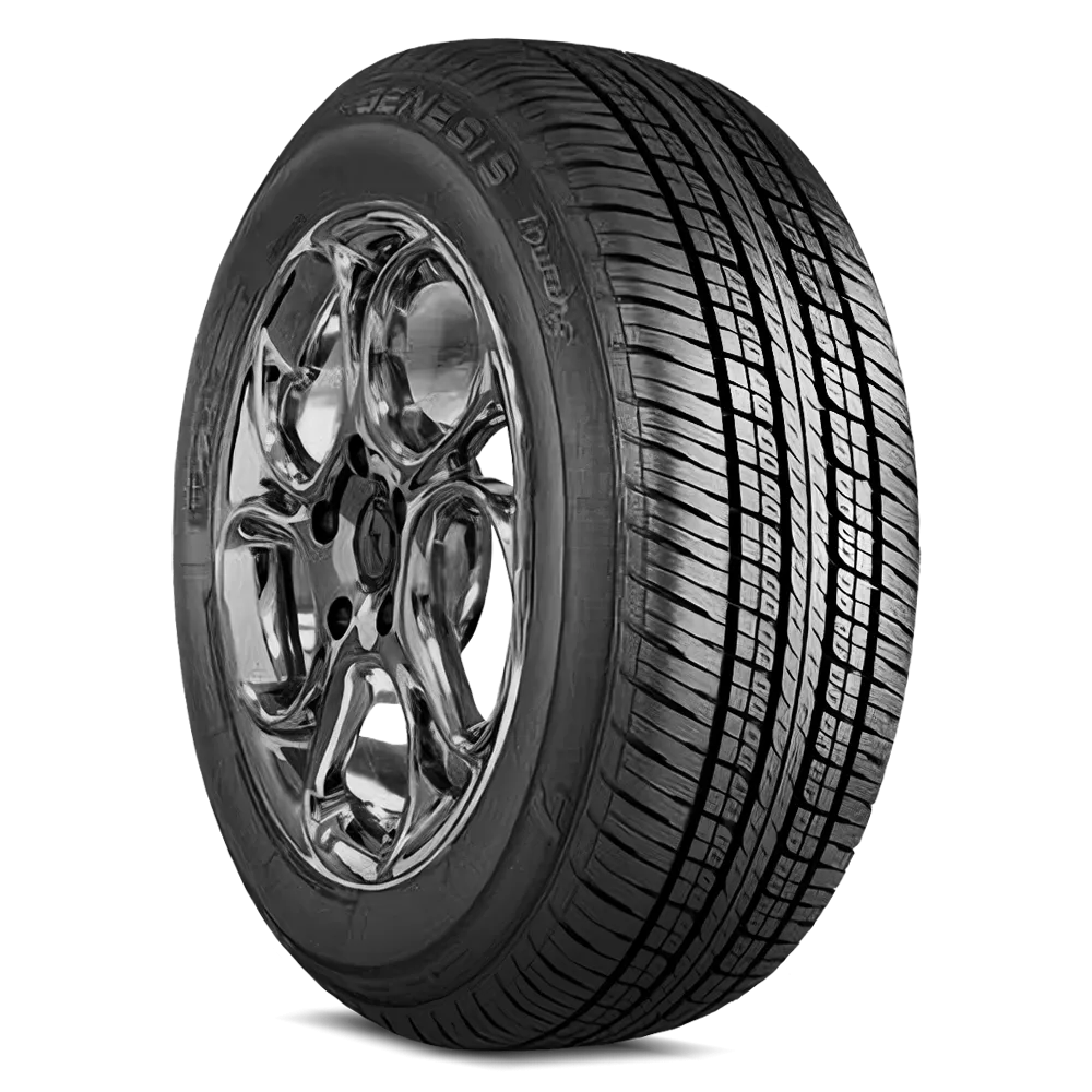 Jetzon Genesis Touring Tires P205/65R15 Genisis Touring(2230543)
