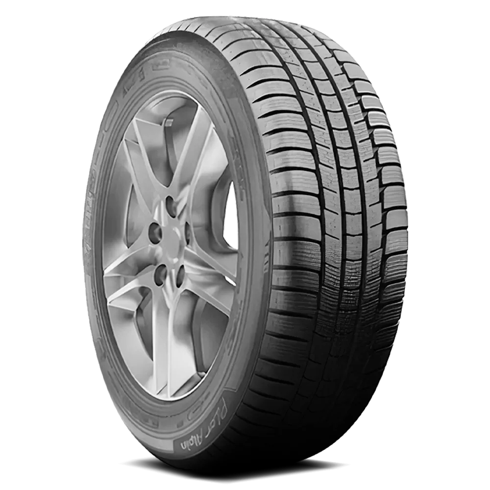 Michelin Pilot Alpin PA2 Tires 255/45R18 (17577)