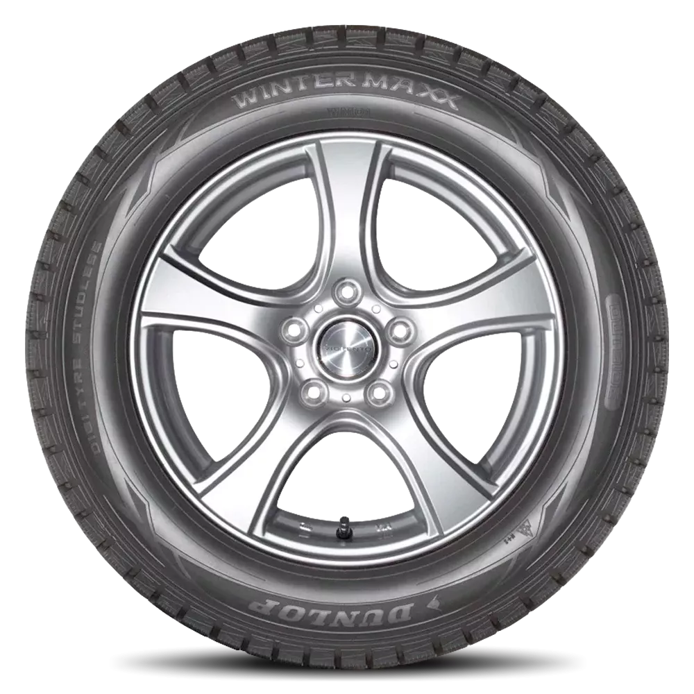 Dunlop Winter Maxx Tires 185/65R14 (266029704)