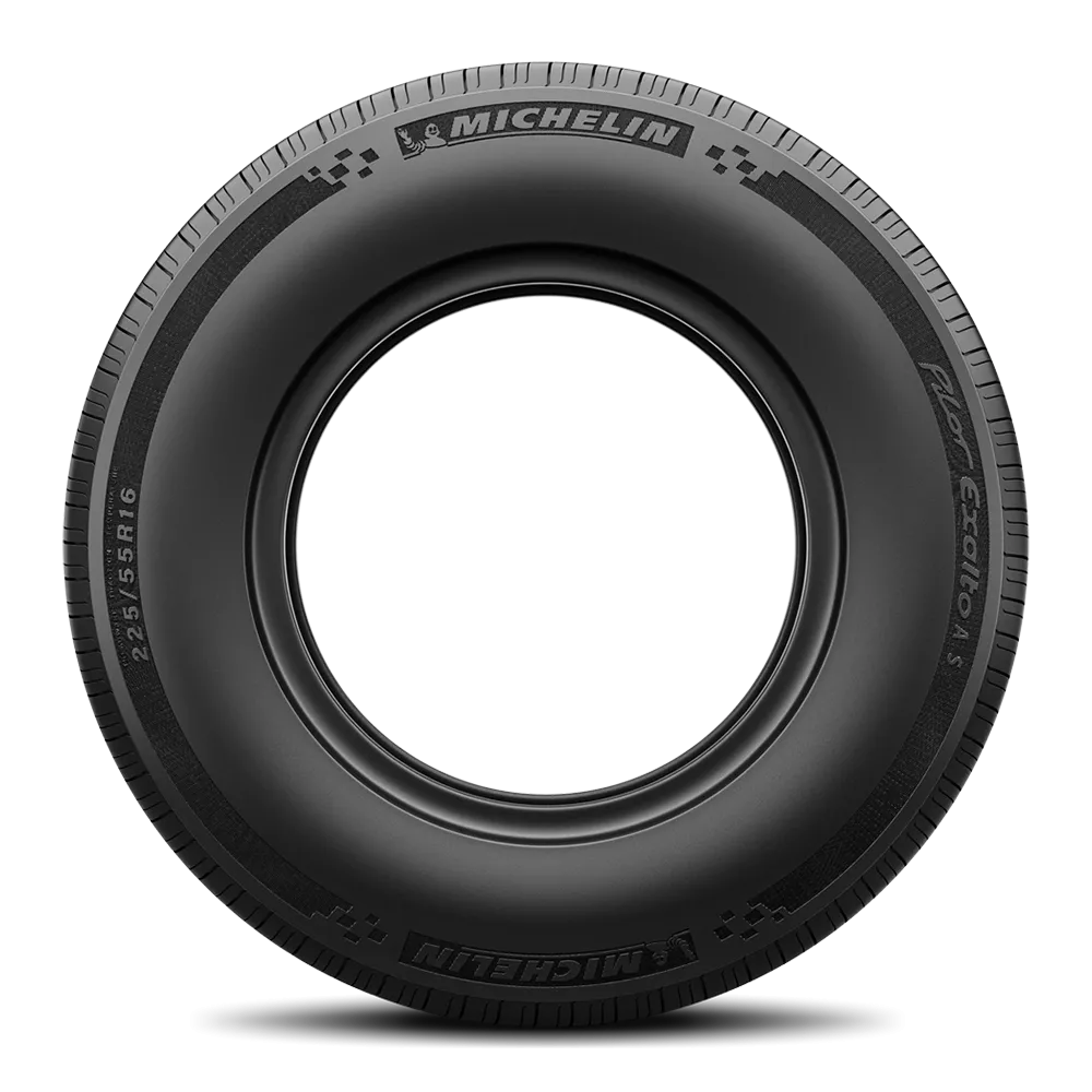 Michelin Pilot Exalto A/S Tires 205/55R16 (29192)