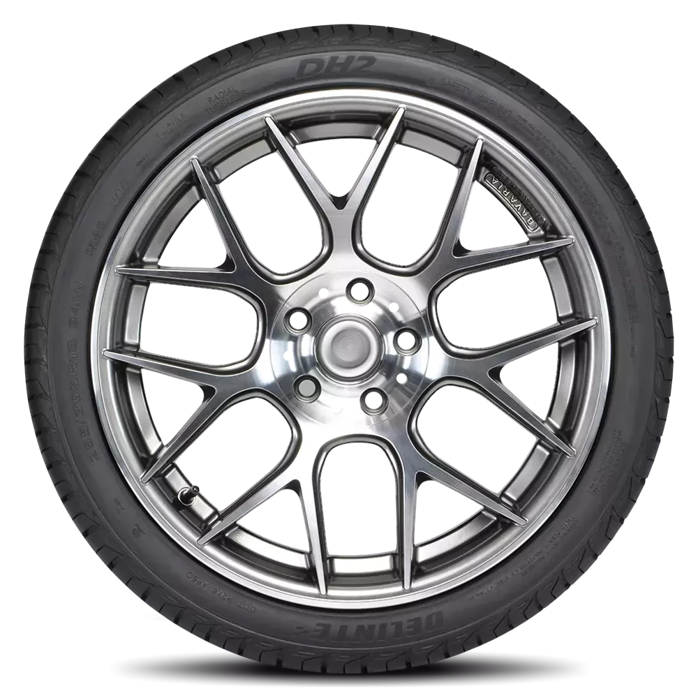 Delinte DH2 Tires 195/50R16 XL (203850)