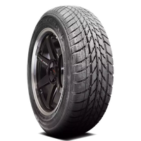 Accelera Epsilon Tires 185/60R14 (1200000027)